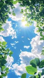 夏日绿荫下的蓝天美景