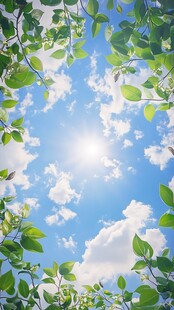 绿叶间的明媚蓝天阳光