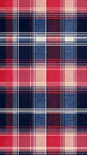 红蓝格纹布料图案