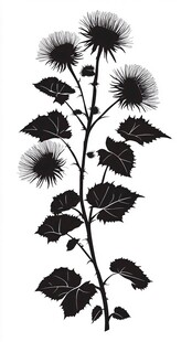 黑色剪影风格的带叶植物