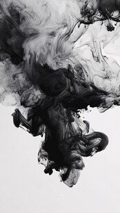 墨韵飞扬 水墨交融之美