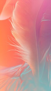 梦幻渐变羽毛特写