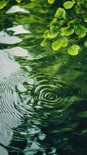 绿叶倒影下的水波纹景
