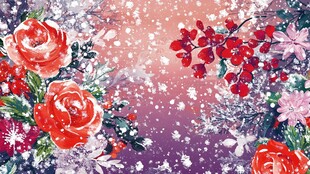 冬日花卉雪景浪漫插画