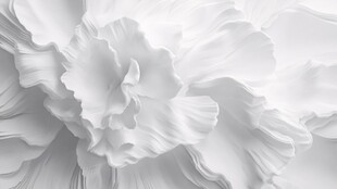 白色立体花朵纹理特写
