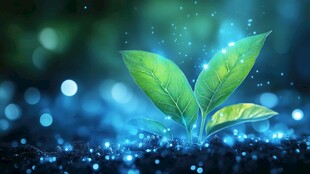 梦幻蓝光中新生的嫩绿幼苗