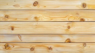 浅色松木木板纹理特写