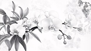 水墨兰花图