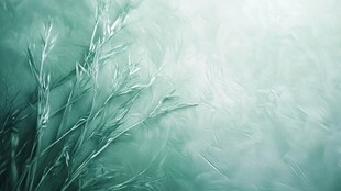 梦幻绿调中的柔韧草枝