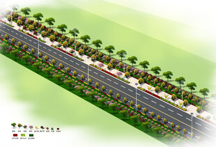 道路绿化效果图
