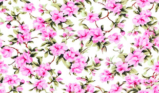 茶花 