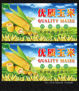 玉米展板