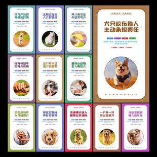 文明养犬