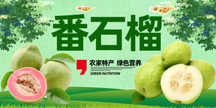 番石榴
