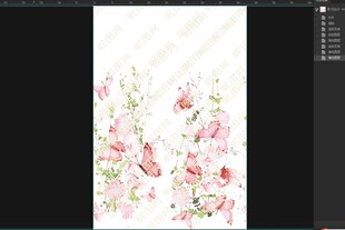 蝴蝶花