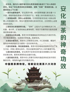 安化黑茶的神奇功效海报