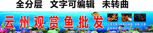 观赏鱼批发门头