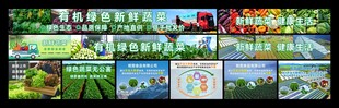 蔬菜贸易