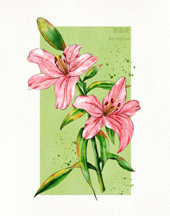 百合花