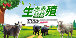 生态养殖