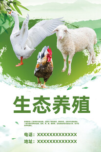 生态养殖