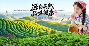 采茶女
