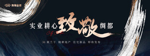 中国风地产 