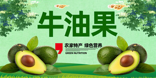 牛油果