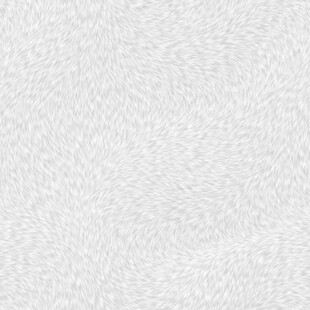 灰白毛发