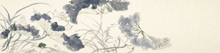 荷花手绘