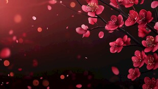 红梅绽放 浪漫梦幻背景