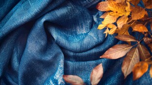 蓝色织物上的秋日枯叶