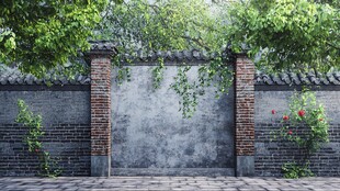 中式砖墙绿植环绕景致