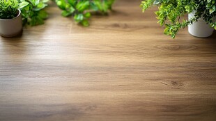 木质桌面绿植装饰场景