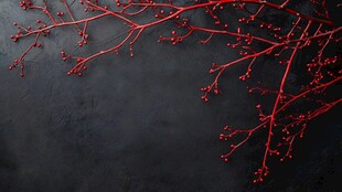 红枝缀果 黑底上的艳丽