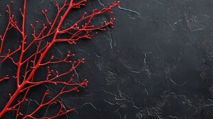 红枝点缀黑色纹理背景
