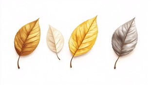 四枚秋叶的别致展示