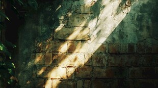 阳光洒落斑驳砖墙