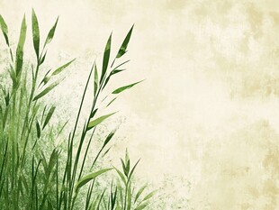 嫩绿草叶的清新自然图景