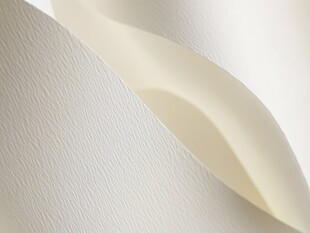 卷曲的米色纹理纸张