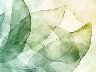 淡彩透明绿叶梦幻背景图