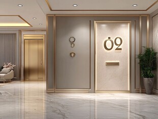 豪华公寓入户门精致设计