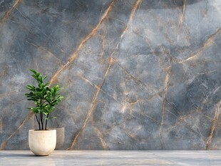 灰纹大理石墙前的绿植