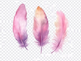 梦幻水彩羽毛插画素材