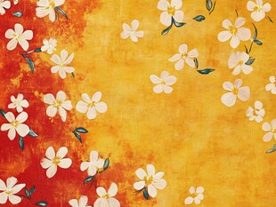 橙黄背景上的烂漫小白花