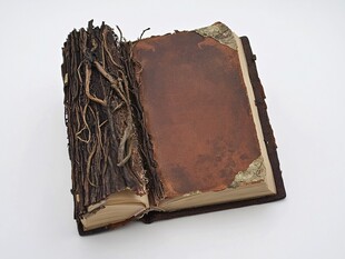 复古风带藤蔓装饰的旧书籍