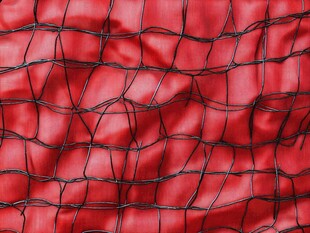 红色背景上的黑色网格纹理