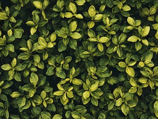 绿叶无缝图案背景纹理