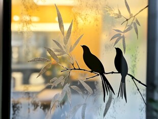 窗前双鸟伴夕阳剪影