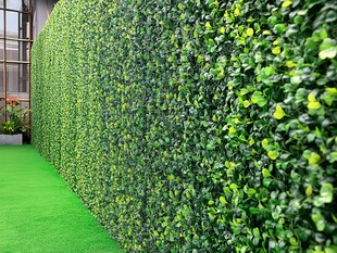 绿植墙营造清新室内空间